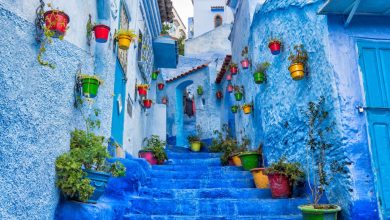 A beautiful blue alley with stairs and different and colorful flower pots in a Moroccan town called Chefchaouen, the city of Instagram.