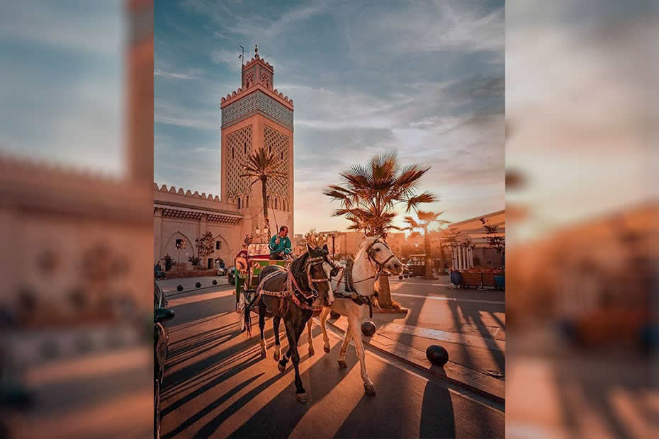 horse-drawn carriage in Morocco, Marrakech
