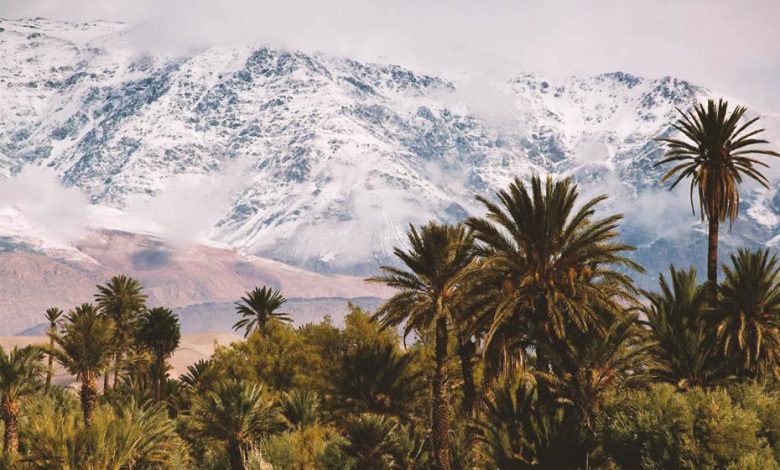 Beautiful Montain view and palm trees of Morocco