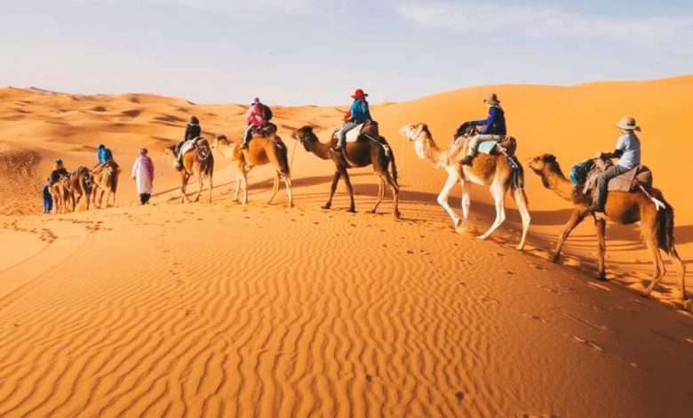 People riding camels in the desert of Morocco