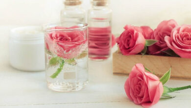 one rose in a glass of water surrounded by other roses